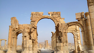 Palmyra