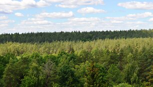 Nuo apžvalgos bok&scaron;to atsiveria nuostabi panorama į Anyk&scaron;čių apylinkes