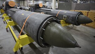 Ukrainos raketa &bdquo;Flamingo&ldquo;
