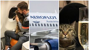 „Aeroflot“ skaudžiai nubaudė „storo katino kontrabandininką“