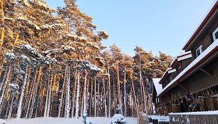 Ingos Jagminaitės įrengti &bdquo;Preilos namai&ldquo;