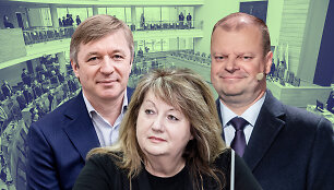 Vilija Blinkevičiūtė, Ramūnas Karbauskis ir Saulius Skvernelis