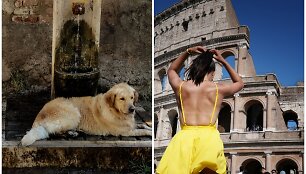 Kaitra Italijoje