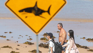 JEREMY PIPER / REUTERS