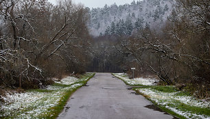 Lengva sniego paklotė apdengė Neries regioninį parką