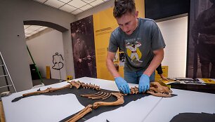 Archeologas P.Blaževičius įrenginėja parodą &bdquo;Istorija vizgina uodegą&ldquo;