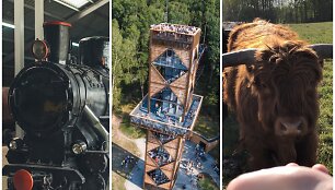 Anyk&scaron;čiai jau pasiruo&scaron;ę priimti visus pasiilgusius kelionių ir įspūdžių