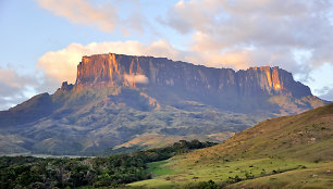 Tepui stalkalniai