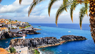 Kamara de Lobosas, Madeira