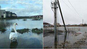 Užlieti sklypai Romainiuose