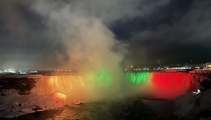 Niagaros krokliai nušvito Lietuvos vėliavos spalvomis