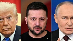 Donaldas Trumpas, Volodymyras Zelenskis, Vladimiras Putinas