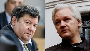 Emmanuelis Zingeris, Julianas Assange'as
