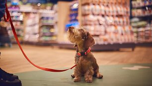 &bdquo;PetCity&ldquo; parduotuvėje