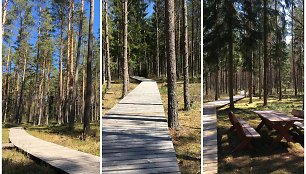 Aplankykite daugiausia miško takų Vilniaus apylinkėse turintį kaimą – Sakiškes