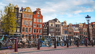 Amsterdamas, Nyderlandai
