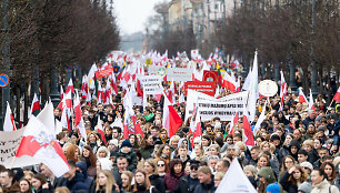 Mitingas tautinių mažumų mokykloms apginti