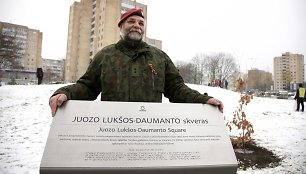 Juozo Lukšos-Daumanto skveras