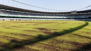 Dariaus ir Girėno stadiono veja