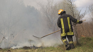 Deganti žolė Geležinio Vilko gatvėje