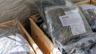 Rezervo kariai atvyko i karinius vienetus / BNS nuotr.
