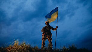 Ukrainos karys