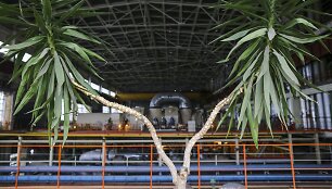 &bdquo;Vilniaus energijos&ldquo; patalpose