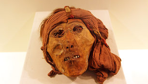 Sudžiovinta žmogaus galva muziejuje
