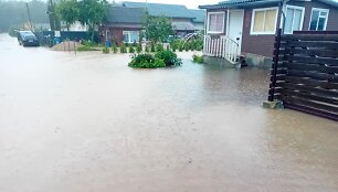 Apsemti Kai&scaron;iadorių &bdquo;Baltojo berželio&ldquo; sodai