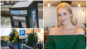 Rūta Elžbieta Mazurevičiūtė-Pitkauskienė, mokėjimo aparatas, automobilių stovėjimo aikštelė