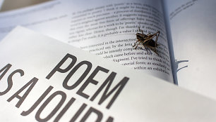 „Poem as a Journal“