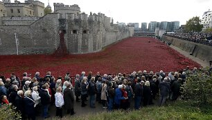 Paliaubų dienos minėjimas Didžiojoje Britanijoje 