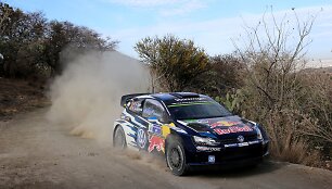 WRC Meksikoje