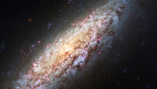 Galaktika NGC 6503