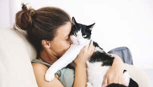 Katinas