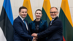 Hanno Pevkuras, Dovilė &Scaron;akalienė, Andris Sprūdas