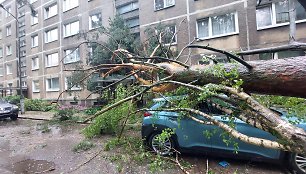 Vilniaus Lazdynų mikrorajone audra pridarė žalos: ant daugiabučio užvirto medis