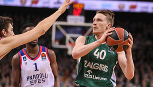Marius Grigonis