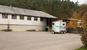 Vilniaus raitosios policijos žirgynas