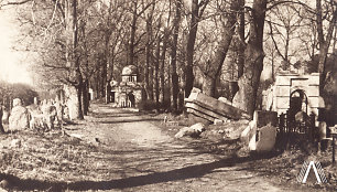 Žydų kapinės Užupyje. Medžiais apsodinta alėja dalina kapines į senąją ir naująją dalį. 1966 m.