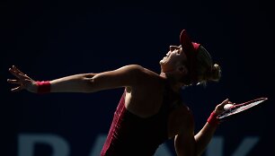 Sabine Lisicki pasiekė greičiausio padavimo rekordą