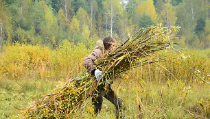 Talka pelkėje