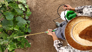 Ūkininkas purškia pesticidus