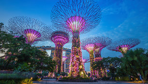 Singapūro sodai (Gardens by the Bay) 