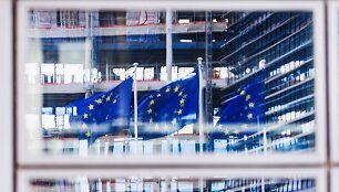 Europos Sąjungos vėliavos