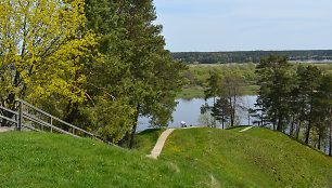 Sudargo piliakalniai (Šakių r.)