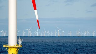 Sina Schuldt / dpa/picture-alliance
