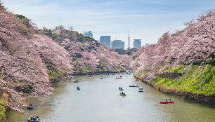 Tokijas, Japonija