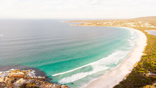 Tasmanija