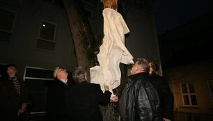 VU Istorijos fakulteto istorikų sugrįžtuvėse &bdquo;Historiada 2009&rdquo; atidarymo metu, VU Istorijos fakulteto M. Dauk&scaron;os kiemelyje, atidengta susimąsčiusio karžygio &ndash; &bdquo;Senolio&ldquo; skulptūra. Visų kartų apsolventai padovanojo fakultetui naują &bdquo;Simbolį&ldquo;  Prof. dr. Alfredo Bumblausko paveikslą.
